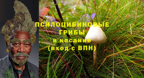 трава Баксан