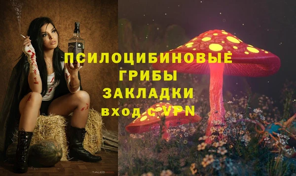 прущие крисы Балахна