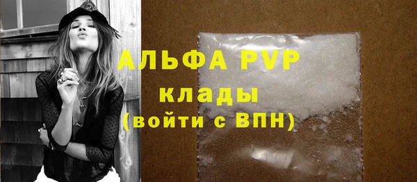 Альфа ПВП Ростов