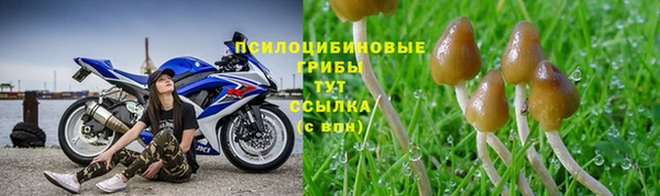 трава Баксан