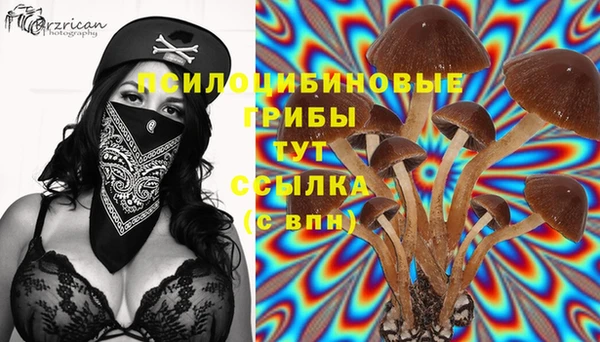 тгк Балабаново